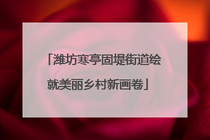 潍坊寒亭固堤街道绘就美丽乡村新画卷