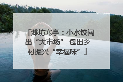 潍坊寒亭：小水饺闯出“大市场” 包出乡村振兴“幸福味”