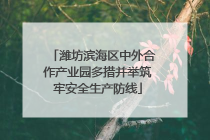 潍坊滨海区中外合作产业园多措并举筑牢安全生产防线