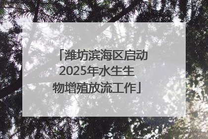 潍坊滨海区启动2025年水生生物增殖放流工作