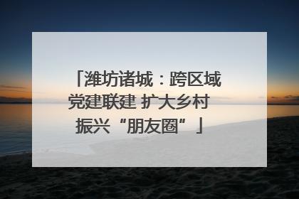潍坊诸城：跨区域党建联建 扩大乡村振兴“朋友圈”