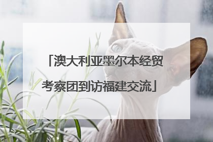 澳大利亚墨尔本经贸考察团到访福建交流