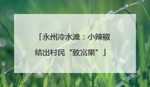 永州冷水滩：小辣椒结出村民“致富果”