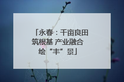 永春：千亩良田筑根基 产业融合绘“丰”景