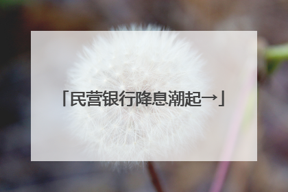 民营银行降息潮起→