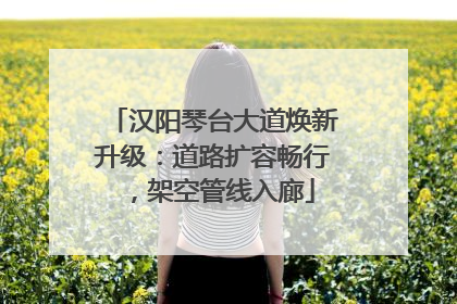 汉阳琴台大道焕新升级：道路扩容畅行，架空管线入廊