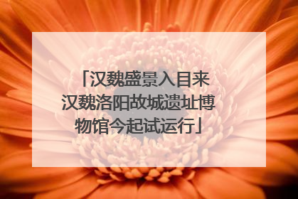 汉魏盛景入目来 汉魏洛阳故城遗址博物馆今起试运行