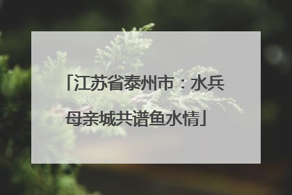 江苏省泰州市：水兵母亲城共谱鱼水情