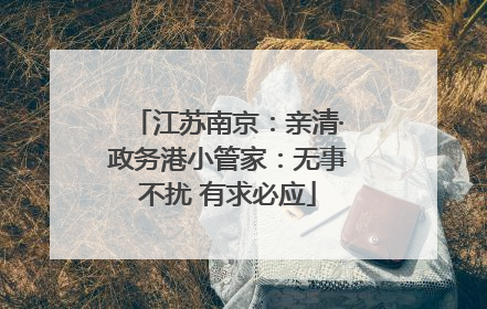江苏南京：亲清·政务港小管家：无事不扰 有求必应