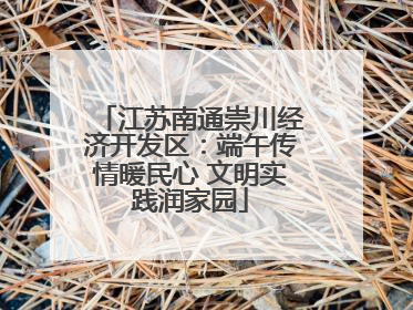 江苏南通崇川经济开发区：端午传情暖民心 文明实践润家园