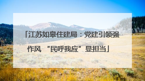 江苏如皋住建局：党建引领强作风 “民呼我应”显担当