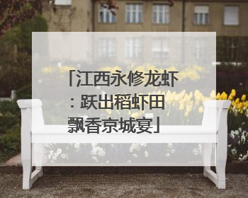 江西永修龙虾：跃出稻虾田 飘香京城宴