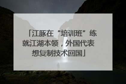 江豚在“培训班”练就江湖本领，外国代表想复制技术回国