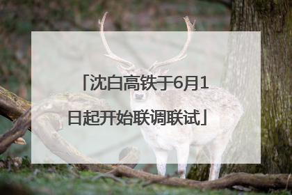 沈白高铁于6月1日起开始联调联试