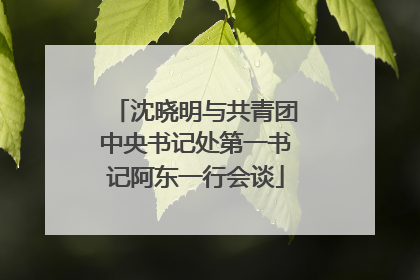 沈晓明与共青团中央书记处第一书记阿东一行会谈