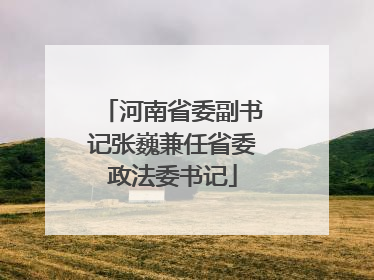 河南省委副书记张巍兼任省委政法委书记