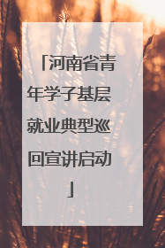 河南省青年学子基层就业典型巡回宣讲启动
