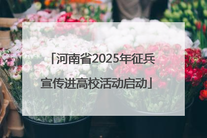 河南省2025年征兵宣传进高校活动启动