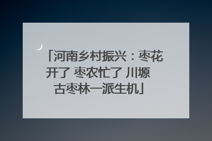 河南乡村振兴：枣花开了 枣农忙了 川塬古枣林一派生机