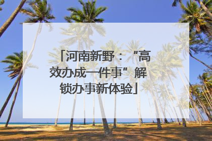 河南新野：“高效办成一件事”解锁办事新体验