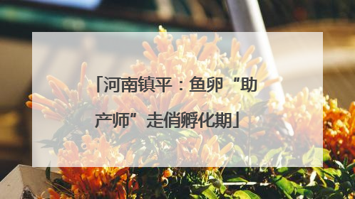河南镇平：鱼卵“助产师”走俏孵化期