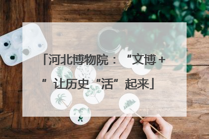 河北博物院：“文博＋”让历史“活”起来