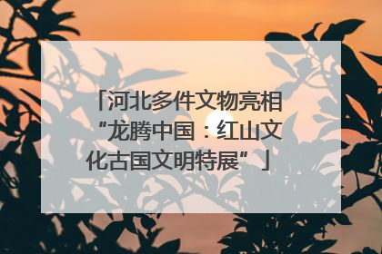 河北多件文物亮相“龙腾中国：红山文化古国文明特展”