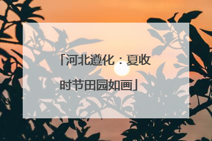河北遵化：夏收时节田园如画