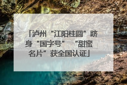 泸州“江阳桂圆”跻身“国字号” “甜蜜名片”获全国认证