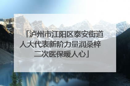 泸州市江阳区泰安街道人大代表新阶力量润桑梓 二次医保暖人心