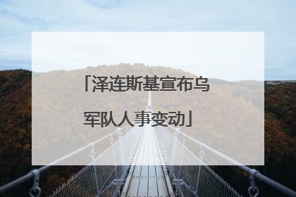 泽连斯基宣布乌军队人事变动