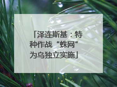 泽连斯基：特种作战“蛛网”为乌独立实施