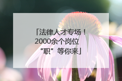 法律人才专场！2000余个岗位“职”等你来