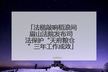 法槌敲响稻浪间 眉山法院发布司法保护“天府粮仓”三年工作成效