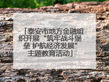 泰安市地方金融组织开展“筑牢战斗堡垒 护航经济发展”主题教育活动