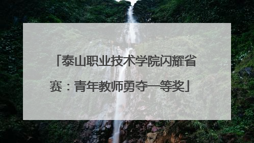 泰山职业技术学院闪耀省赛：青年教师勇夺一等奖
