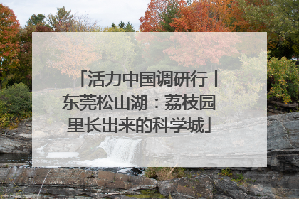 活力中国调研行丨东莞松山湖：荔枝园里长出来的科学城