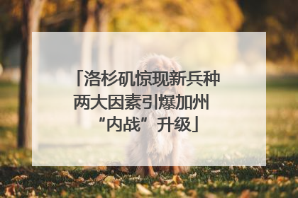 洛杉矶惊现新兵种 两大因素引爆加州“内战”升级