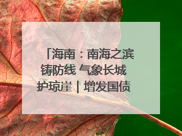 海南：南海之滨铸防线 气象长城护琼崖｜增发国债气象项目落地见效系列报道