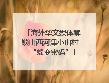 海外华文媒体解锁山西河津小山村“蝶变密码”