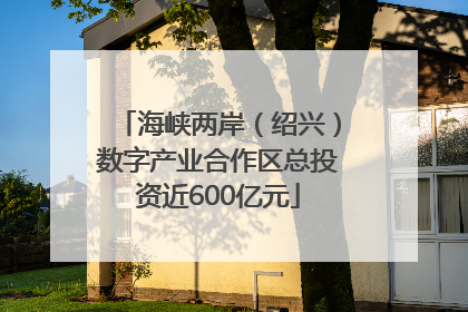 海峡两岸（绍兴）数字产业合作区总投资近600亿元