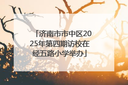 济南市市中区2025年第四期访校在经五路小学举办