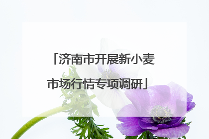 济南市开展新小麦市场行情专项调研