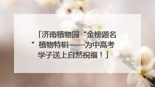 济南植物园“金榜题名”植物特辑——为中高考学子送上自然祝福！
