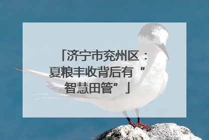 济宁市兖州区：夏粮丰收背后有“智慧田管”
