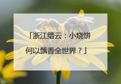 浙江缙云：小烧饼何以飘香全世界？