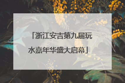 浙江安吉第九届玩水嘉年华盛大启幕
