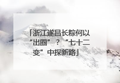 浙江遂昌长粽何以“出圈”？“七十二变”中探新路