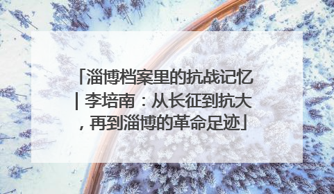 淄博档案里的抗战记忆｜李培南：从长征到抗大，再到淄博的革命足迹