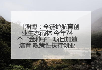 淄博：全链护航育创业生态雨林 今年74个“金种子”项目加速培育 政策性扶持创业9754人
